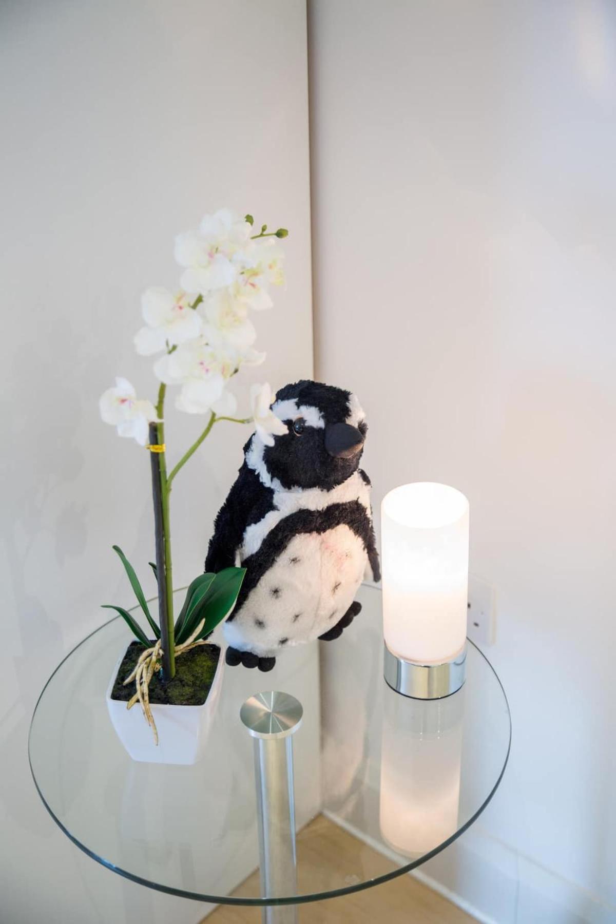Appartement Chic Centre Moments From Wills Memorial *